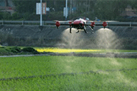 �տ�����������Ҵ���,�տ�������β���