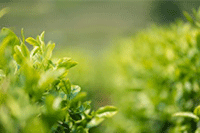 ���ָ���ôȥʵ�ٶ���������Ŀ?