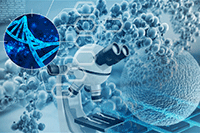 ���ֿ�������Щ���������������ٵ���ĵ��̣�