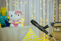 ���������ϸ����