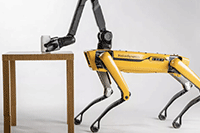 �Ա�����:���Ա������Ժ�ʲô����»ᱻ����˻���