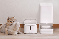 �Ա��ƹ���Ӫ�̳�:2021���Ա�������µ�ֱ���淨���̹���