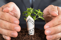 ��ô����è�̳ǿ������أ�����Щ���裿