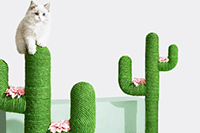 �Ա�����֮·��ô�ߣ�һ�в��Ը�ת��ΪĿ�ĵ��İ��������õ�