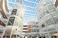 �ֻ�����ô���Ա���,�ֻ��Ա��������̲�������Щ