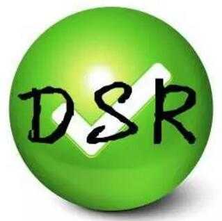 �Ա�dsr��̬���ֹ���Ӱ��