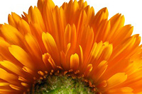 �Ա���С���ҵĳ�·