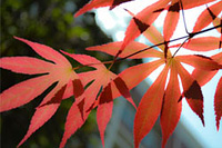 ���ݳ�̨�����ײ��淶���罻����������