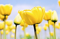 ���ҵķ���̬�ȵ���ʲô�̶����?