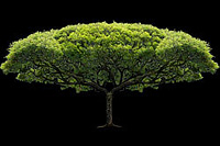 �Ա���ô׬Ǯ �����岽���챬��