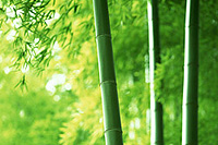 �㶫��򸣽���ó�����巽������