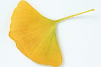 ���챬����Ҫ��������