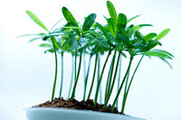 �Ա�����װ�ޣ�ץס��ҵ�����