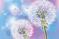 ��ô��ߵ��̵�������ת����