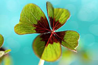 �Ա��ͷ��ĵ绰ʹ�ü���