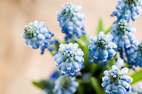 �ҹ�����ҵ��չ��״ Ӧ��������������ҵ��չ�ص�