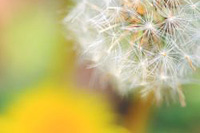 ���̴���ģ�塢��������ģ�塢������ģ���ʹ�ý̳�