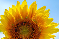 ������С�������챬��