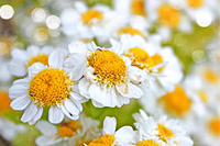 �Ա����̴�����ôŪ ������������