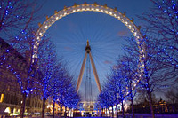 �����߲���