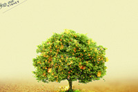 ���ҵ��������������